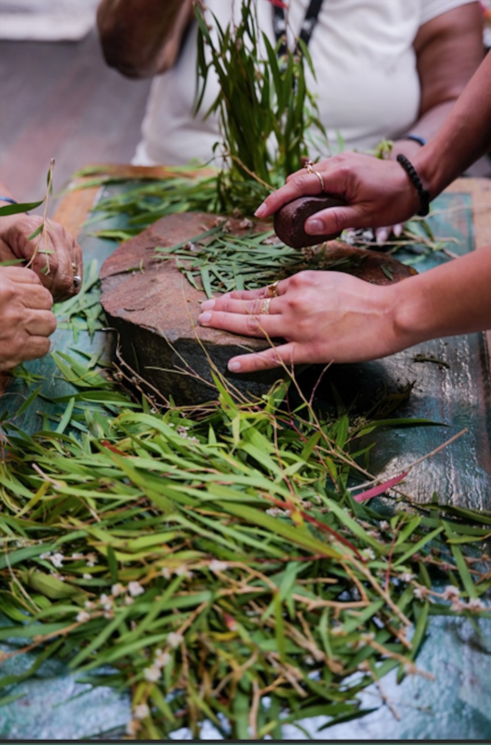 Hands working with fresh bush medicine leaves during a workshop